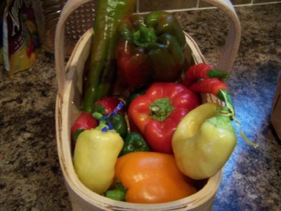 Preserving the Bounty: Peppers Image
